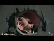 Sex with tranny in public toilet