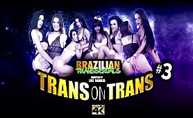 Trans on Trans #3 DVD Trailer