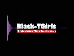 This is Black TGirls...........